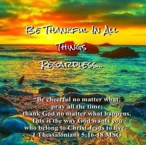 Meet your Posher, Phyllis